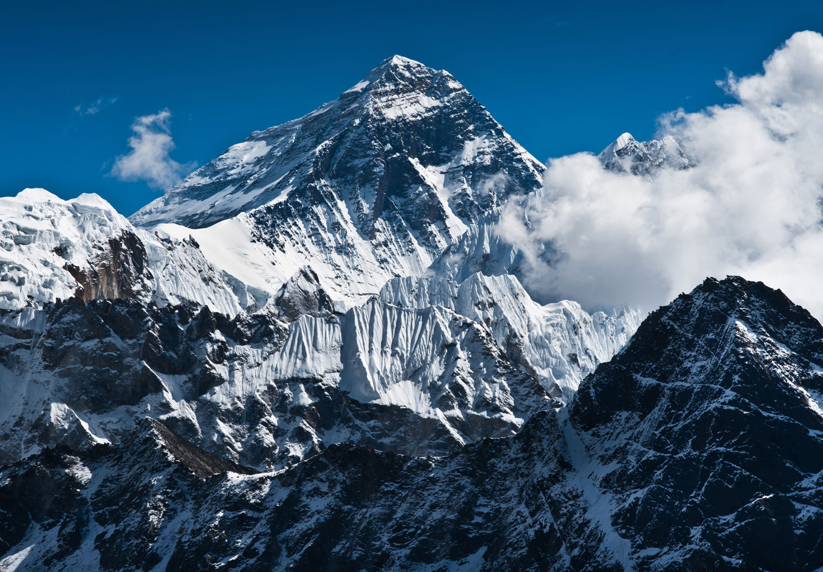 सगरमाथामा एकैदिन ८० आरोही