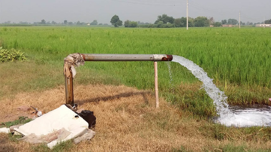 चार हजार बिघा जग्गामा स्यालो ट्युबवेलबाट सिँचाइ