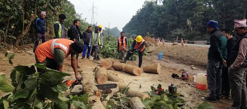 मुग्लिङ पोखरा सडक विस्तार : तनहुँ खण्डमा धमाधम रुख कटान