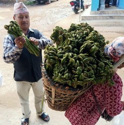 बागलुङमा दोवाको निउरो