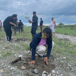 पर्यावरण संरक्षण गर्न झापामा वृक्षारोपण गरिँदै