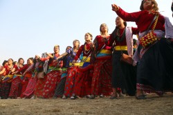 किराँत-राई बस्तीमा साकेला उधौलीको रौनक 