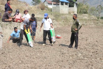 सामूहिक मकैखेती गर्दै ताप्लेजुङका किसान