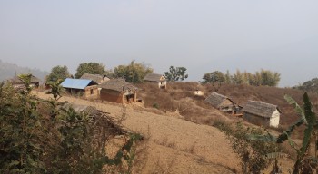 बाँदर आतङ्कले बसाइँसराइ बढ्दा बस्ती नै खण्डहर