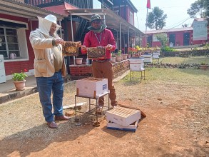 पाल्पामा वडा कार्यालयमा मौरीपालन व्यवसायको नयाँ अभ्यास